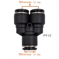 PY12. วัดไซต์
